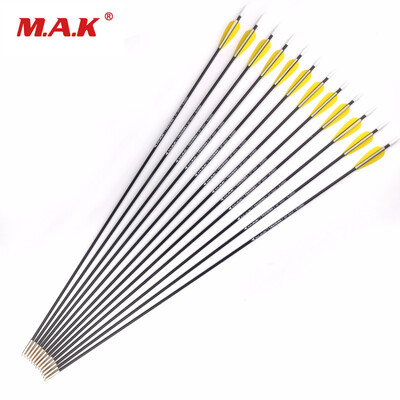 

12 Pcs 30 Inches Carbon Arrows Spine 1000 Diameter 5mm Outer-type Tips Training Arrow for Archery Hunting
