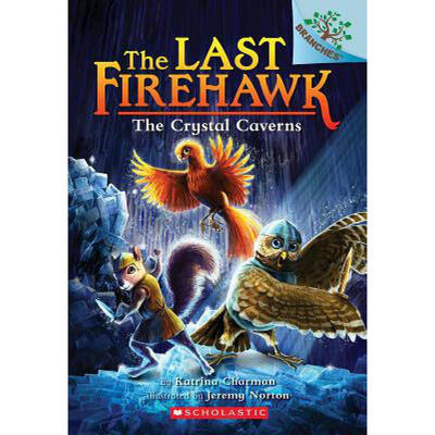 

THE LAST FIREHAWK 2 THE CRYSTAL CAVERNS A BRA