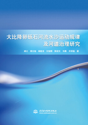 

大比降卵砾石河流水沙运动规律及河道治理研究