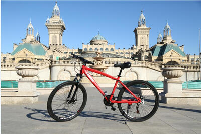 

21 Speed Mountain Bike 26-Inch High-Carbon Steel Dual Disc Brakes One Wheel Speed Damping Men Women Student Bicycle