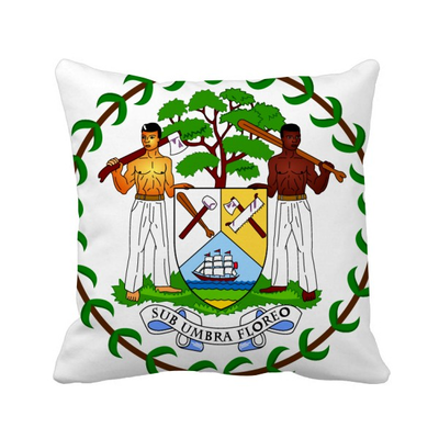 

Belize National Emblem Country Square Throw Pillow Insert Cushion Cover Home Sofa Decor Gift