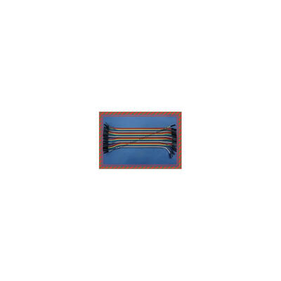 

80pcs 2 Lot 40pcs Dupont wire cable Line 1p-1p pin connector 20cm 2.54mm electronic components