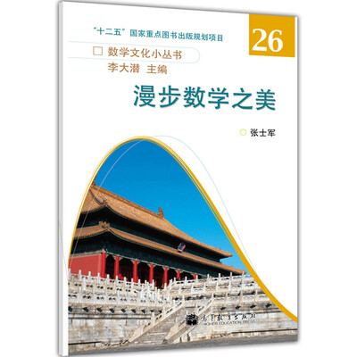 

数学文化小丛书：漫步数学之美