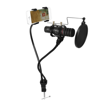 

BBS K-3 mobile phone microphone sing popular karaoke anchor live broadcast special microphone Android Apple phone microphone purple