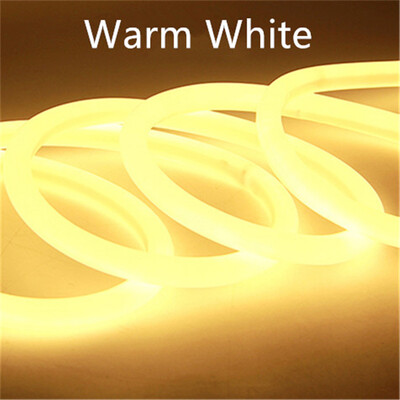 

LED Flexible Strip Light AC 220V - 240V SMD 2835 LED Neon flex tube 120led IP68 Waterproof rope string lamp EU Power plug