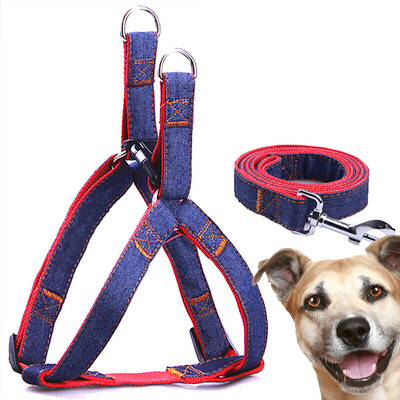 

Dipper dog chain dog rope small dog medium dog dog leash rope pet dog leash dog hyena rope golden hair Teddy dog chain cowboy leash rope M