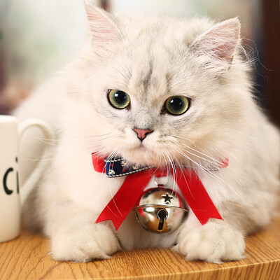 

Huayuan pets hoopet dog bell collar small dog cat Teddy cat necklace than bear neck collar pet jewelry