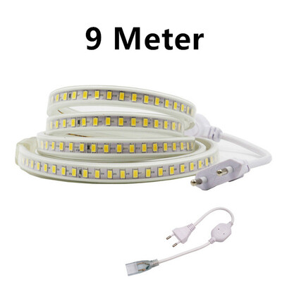 220V 120Ledm Led Strip light 5730SMDSuper Bright 1m2m3m4m5m10m20m WhiteWarm White Waterproof Led Light With EU Plug