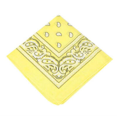 

Новая полоса для головок Biker для полотенец Paisley Bandana