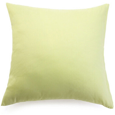 

Good companion plain pillow 43 43 green