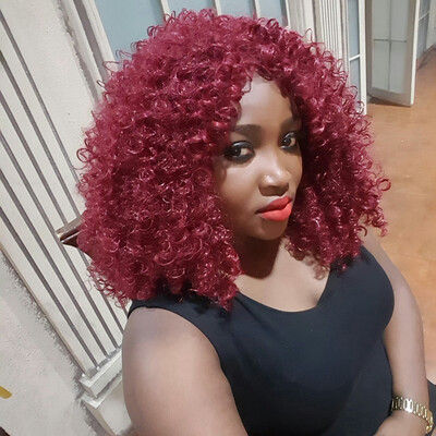

QianBaiHui Synthetic Afro Curly Hair Wigs Wine Red Wig Short Curly Wigs for Women Kinky Curly