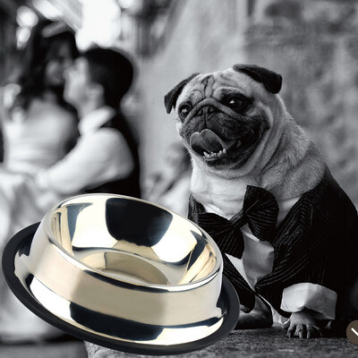 

Size STAINLESS STEEL Standard Pet Dog Puppy Cat Food or Drink Water Bowl Dish
