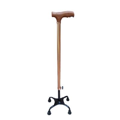 

Happy smiling walking sticks bronze walker