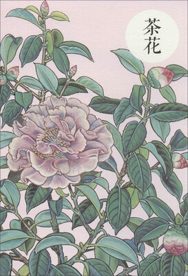 

祝大年格调笔记系列茶花