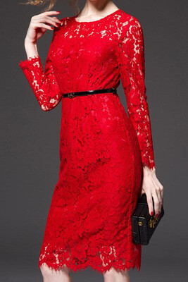 

Elegant Long Sleeve Lace Dress Homecoming Dress