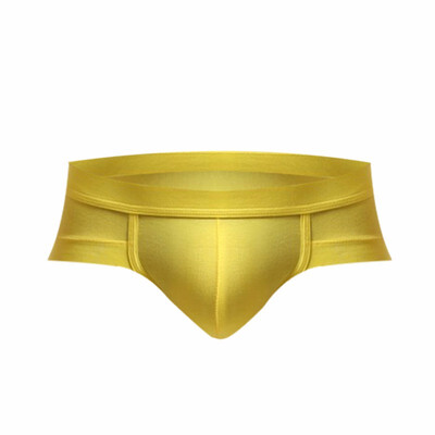 

Fashion Mens Triangle Underwear Low Waist Sexy Small Boxer Shorts