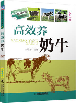 

高效养奶牛
