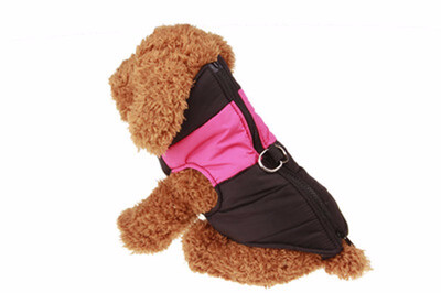 

Dog Clothes For Small Dogs Winter Puppy Chihuahua Pet Dog Clothes Waterproof Medium Large Dog Coat Jacket Ropa Para Perros -5XL