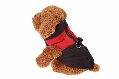 

Dog Clothes For Small Dogs Winter Puppy Chihuahua Pet Dog Clothes Waterproof Medium Large Dog Coat Jacket Ropa Para Perros S-5XL