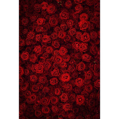 

Lots of Dark Roses Photo Backdrop 57FT Vinyl Fabric Cloth Digital Printing Photo Background S-3171
