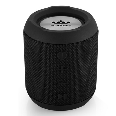 

ROYQUEEN M350 Bluetooth Портативный наружный сабвуфер TWS Interconnect FM-радио Мини-портативный сабвуфер IPX6 Водонепроницаемый заколдованный черный