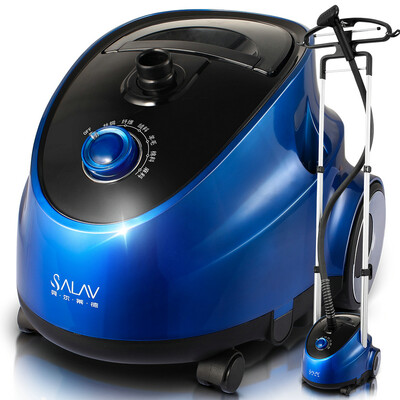 

Bell Ryder GS42-BJ паровой утюг отпариватель (фиолетовый)
