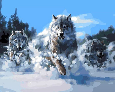 

Animals Wolf Oil Painting Diy Paint by Number Kit with No Wooden Frame for Adults Beginners - 3 Running Snow Wolves