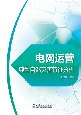 

电网运营典型自然灾害特征分析