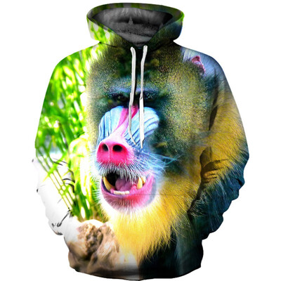 

Mens Hoodie 3D Printed Women Pullover Sweater