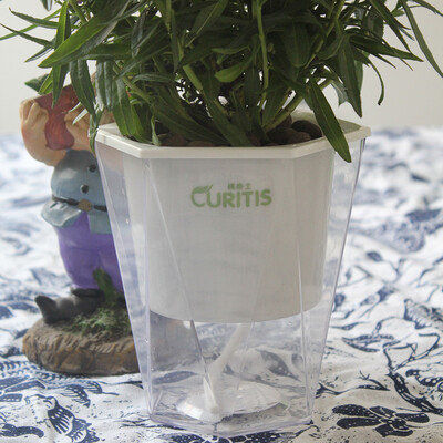 

CURITIS diamond transparent self-watering pots water storage self-irrigating flower pots indoor green radish flower pot plastic hydroponic plant pots without plants