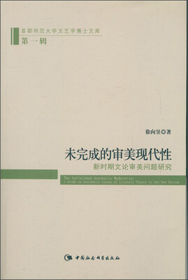 

未完成的审美现代性新时期文论审美问题研究