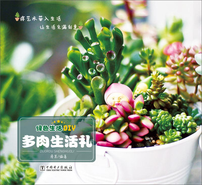 

绿色生活DIY多肉生活礼