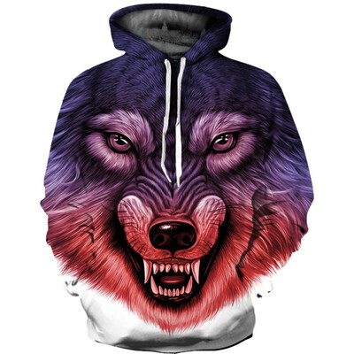 

QL-576 Mens Hoodie 3D Printed Women Pullover Sweater