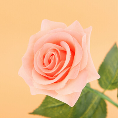 

Real Latex Touch Rose Flowers For wedding And Home Design Bouquet Decor