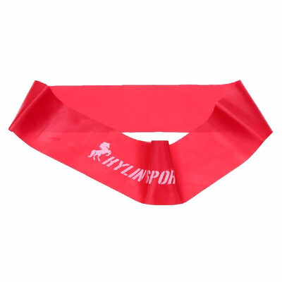 

Fitness Resistance Bands Exercise Loop Bands Elastic Bands for Yoga Pilates Gym