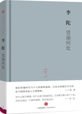 

视野丛书 雪崩何处