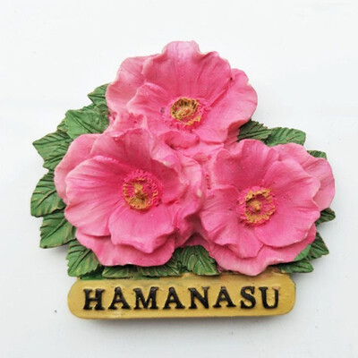 

1Pcs Lovely Japans HAMANASU Decorative 3D Resin Souvenir Fridge Magnet Tourist Travel