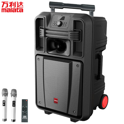 

Malata M9053 square dance audio super high power 18 inch subwoofer lever outdoor audio 800W mobile speaker wireless microphone Bluetooth USB