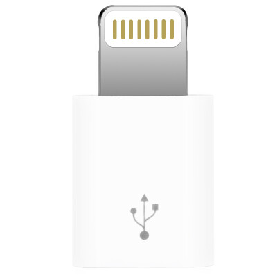 

Capshi Lightning/Micro USB adapter