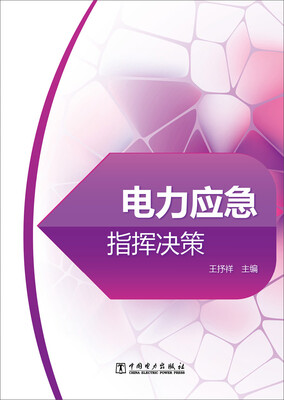 

电力应急指挥决策