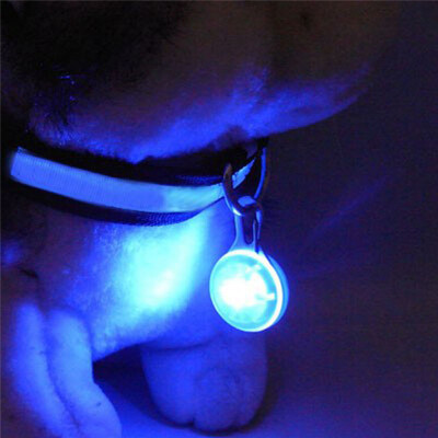 

MyMei Hot Fascinating Pet Dog Cat Puppy LED Flashing Collar Safety Night Light Pendant BLUE