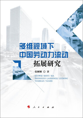 

多维视域下中国劳动力流动拓展研究