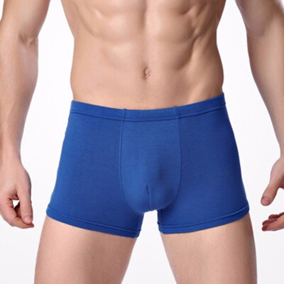 

Fashion New Mens Boxer Briefs Bamboo Fiber Modal Pants