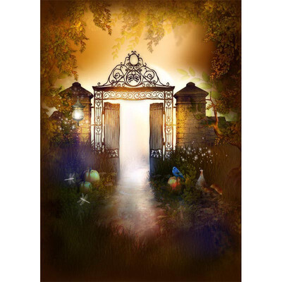 

Magical Door Morning Sun Photo Backdrop 57FT Vinyl Fabric Cloth Digital Printing Photo Background s-758