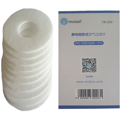 

Ferris wheel Motlun-M2 anti-fog haze pm25 pollen dust transparent jewelry grade sports business mask filter fm300 10pcs