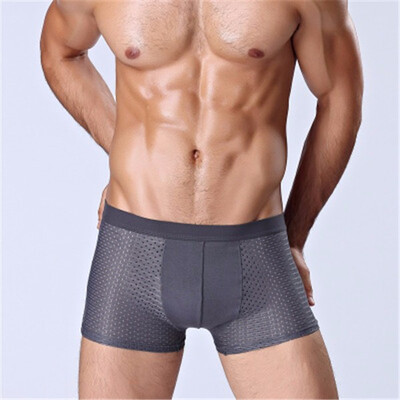 

Ice Silk Mens Boxer Shorts Super Breathable Mesh Men Underwear