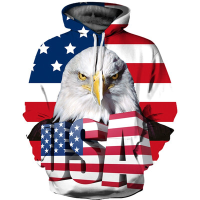 

QL-598 Mens Hoodie 3D Printed Women Pullover Sweater