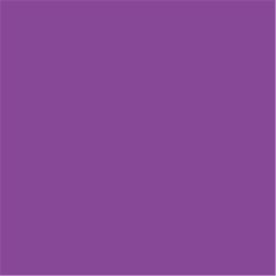 

24 Hrs Shipped Out Women Camilesoles Straps Leotards Gymnastics Ballet Leotards Spandex Swimsuit Stretch Yoga Leotards