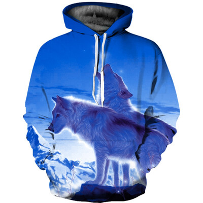 

Mens Hoodie 3D Printed Women Pullover Sweater