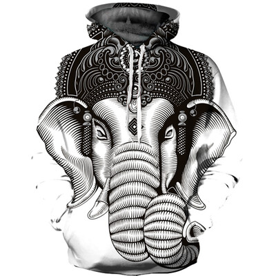 

QL-589 Mens Hoodie 3D Printed Women Pullover Sweater